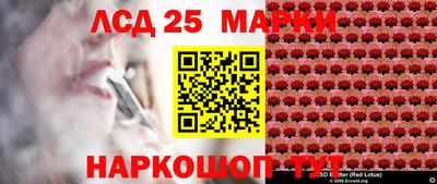 PSILOCYBIN Кулебаки
