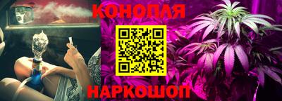PSILOCYBIN Кулебаки