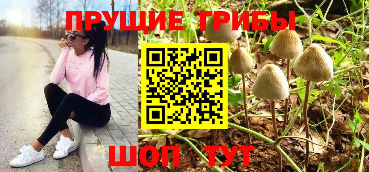 Хасавюрт  что такое наркотик  Вход с VPN  Галлюциногенные грибы Magic Shrooms 